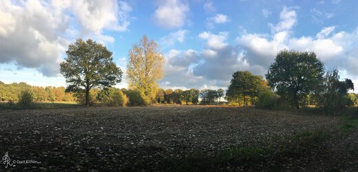Herbst III